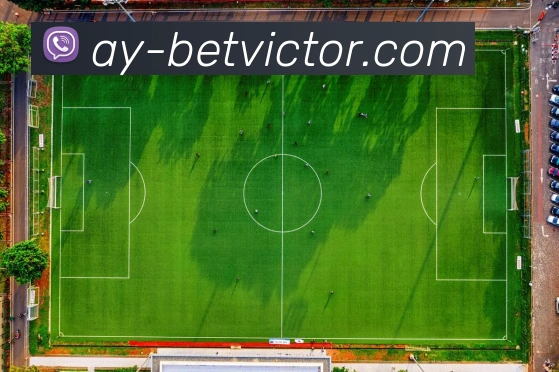 betvictor伟德官网发展历程